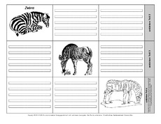 Leporello-Zebra-4-1-2.pdf